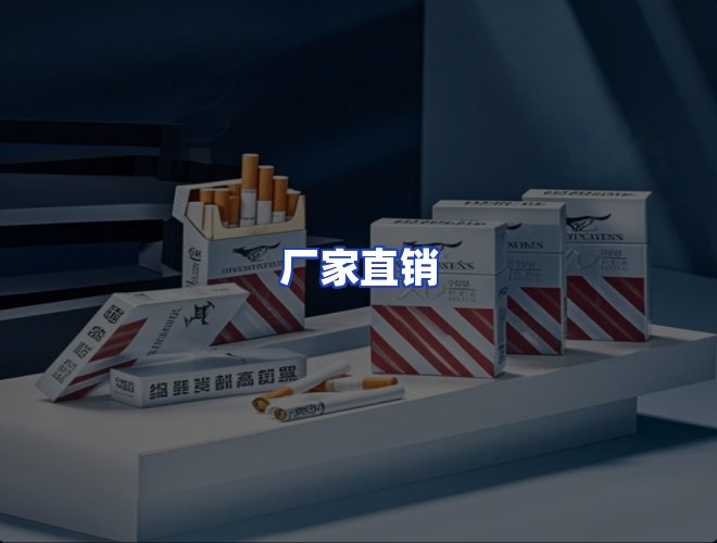专业团队